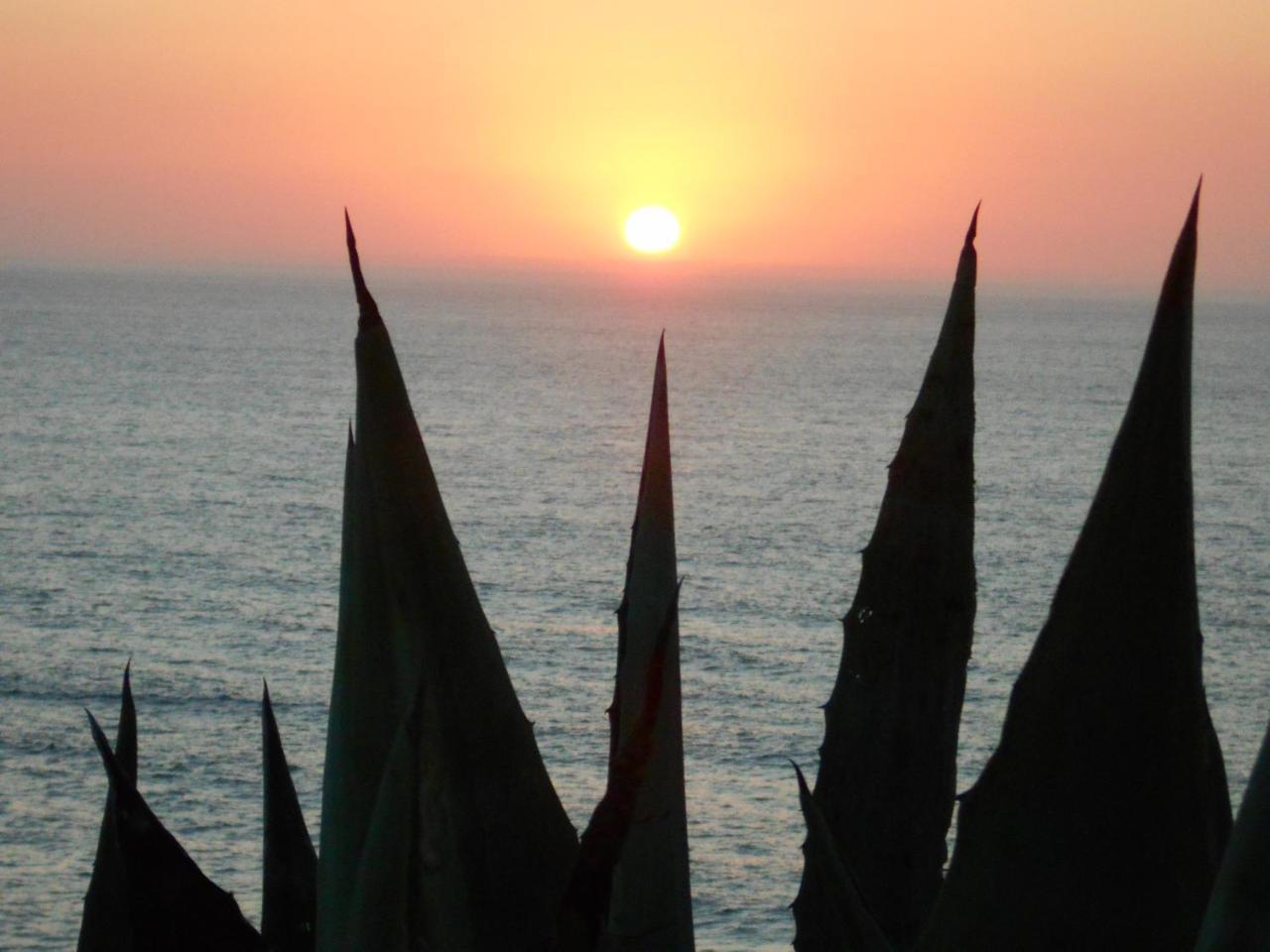 Sol Dourado Hotel Zambujeira do Mar Bagian luar foto